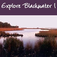 blackwater-national-wildlife-refuge-md