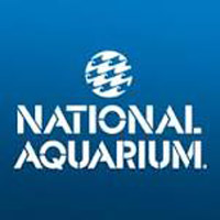 national_aquarium_aquariums_in_maryland