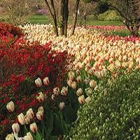 sherwood-gardens-md