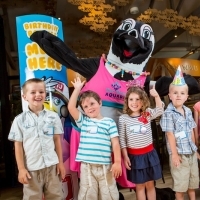 maryland-zoo-in-baltimore-aquarium-theme-parties-in-md