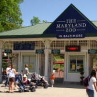 maryland-zoo-unique-birthday-party-ideas-md