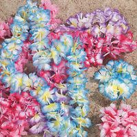 party-plus-hawaii-luau-parties-md