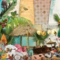 tiki-to-you-hawaii-luau-parties-md