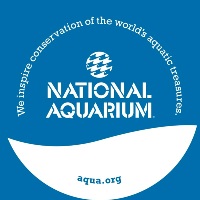 National Aquarium Best Attraction in MD