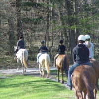 Wheaton Park Stables Maryland Horseback Riding