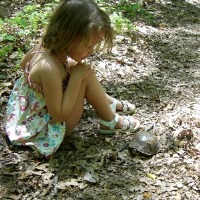 Oregon Ridge Nature Center Day Trips for Kids in MD