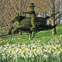 Ladew Topiary Gardens Arboretums in Maryland