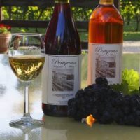 Perigeaux Vineayrds and Winery Best Wineries in Maryland