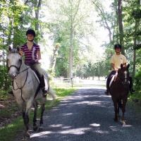 Country Comfort Farm Horseback Riding Lessons in Maryland