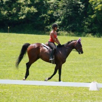 Equilibrium Horse Center Horseback Riding In Maryland
