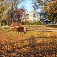 Fairwinds Farm and Stables Horseback Trail Rides in Maryland