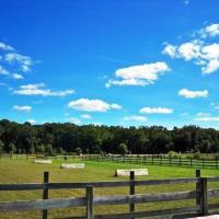 Holly Ridge Farm Equestrian Center Maryland Horseback Trail Riding Companies