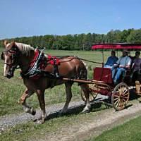 Pleasant Valley Dream Rides Horseback Riding in MD