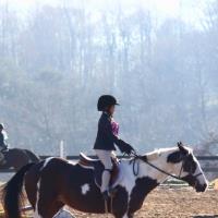 Potomac Horse Center Horseback Riding In Maryland