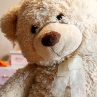Create A Bear Plus Stuffed Animal Parties in MD