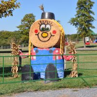 Green Meadows Farm Animal Party Services In Maryland