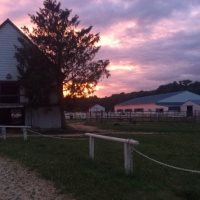 Secret Pride Stables Pony Riding Parties For Kids in Maryland