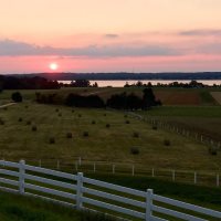 Serenity Farm Petting Zoo Birthday Parties For Kids In Maryland